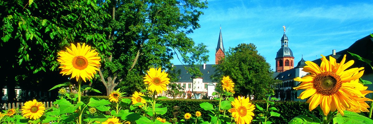Sonnenblumen im Hintergrund Einhard-Basilika