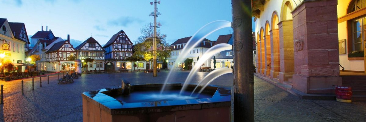 Brunnen mit Rathaus