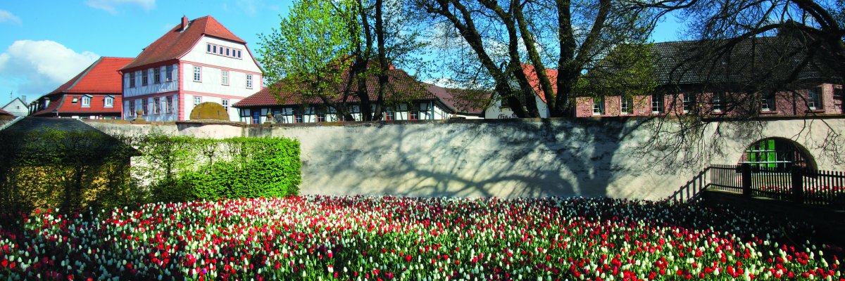 Klostergarten im Frühling mit blühenden Tulpen