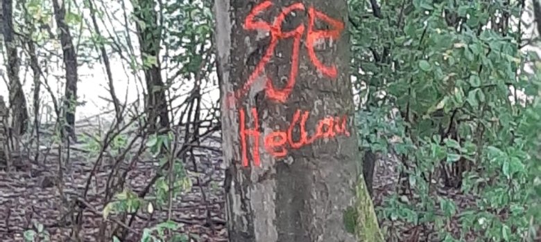 Graffiti am Baum bei Brehms Hütte