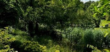Besuch in der Bundesgartenschau 2023 Besuch in der Bundesgartenschau 2023