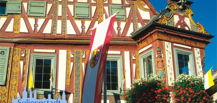 Magnet-Pin mit Einhardhaus-Motiv