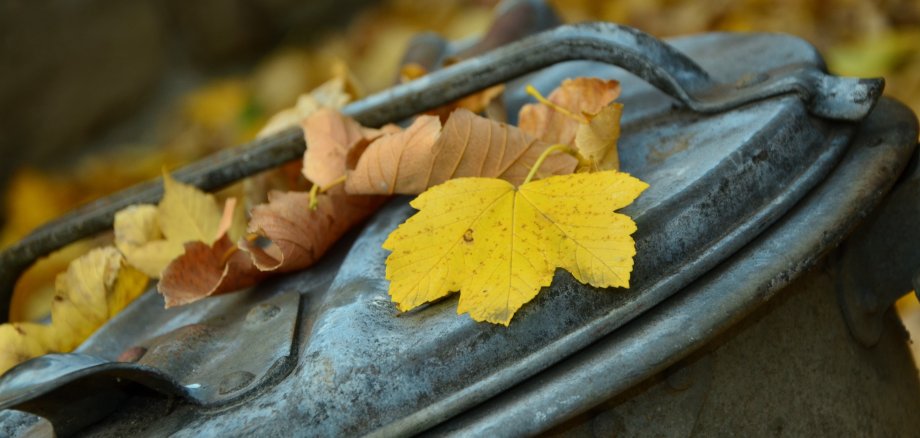 Gartenabfall Herbst