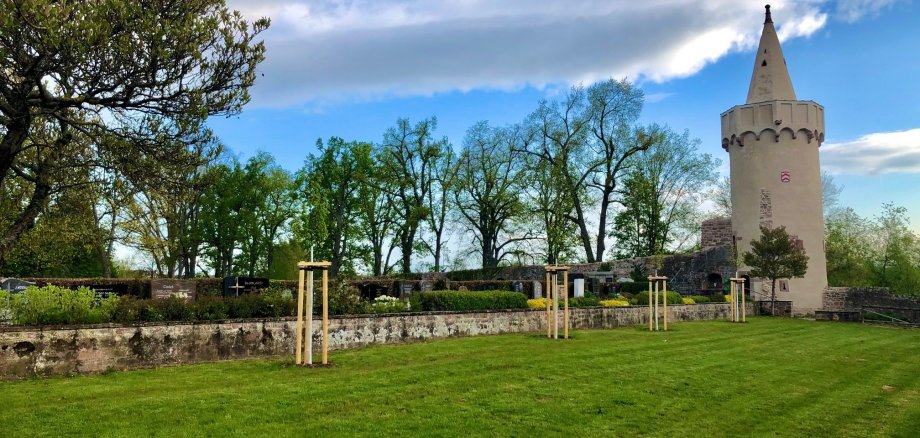 Baumpflanzungen am neuen Friedhof