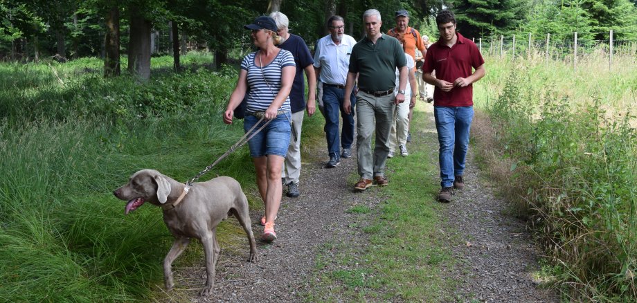Waldführung "Auf dem Holzweg"