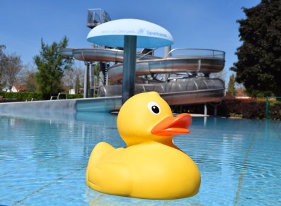 Nichtschwimmerbecken mit Wasserpilz.JPG
