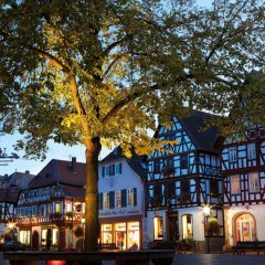 Marktplatz Fachwerkhäuser mit Handwerkerbaum und Linde