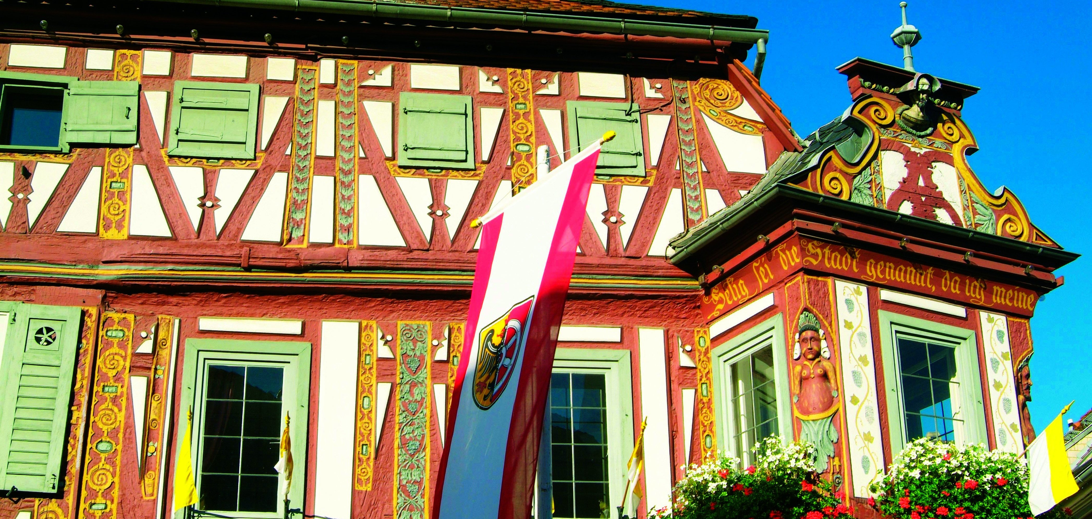 Einharderker mit Sonnenblumen