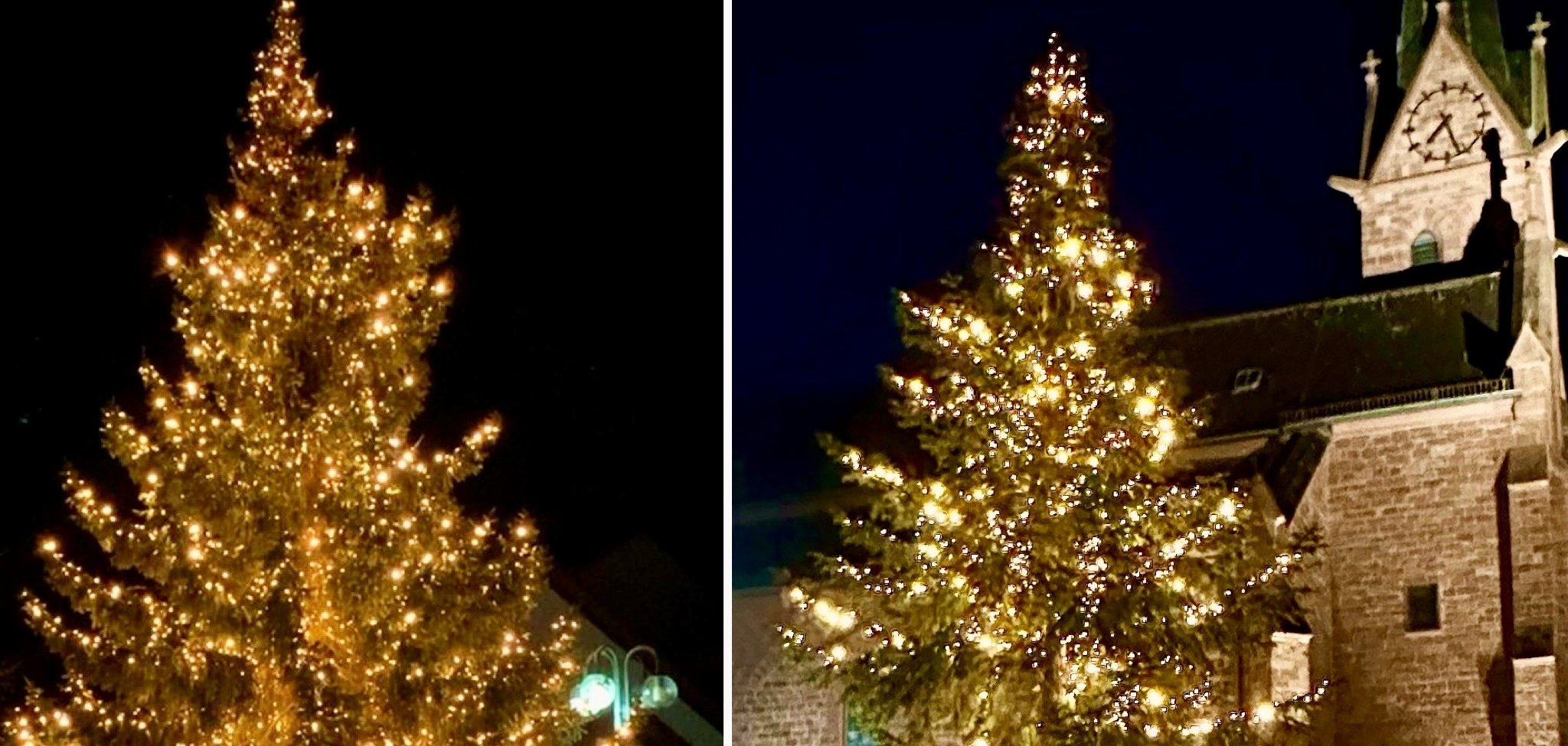 Weihnachtsbäume in Klein-Welzheim und Froschhausen