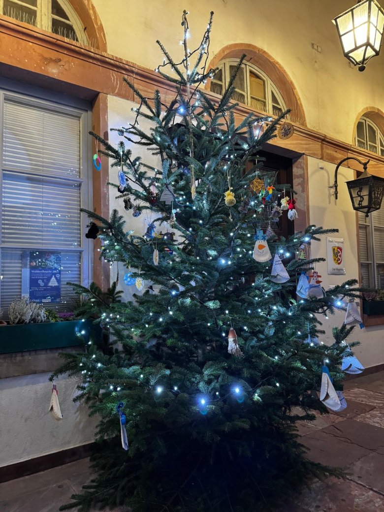 Baum mit Beleuchtung vorm Rathaus Baum mit Beleuchtung vorm Rathaus