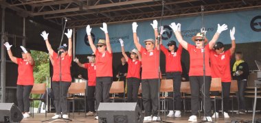 Die Stuhl-Gang der TGS 