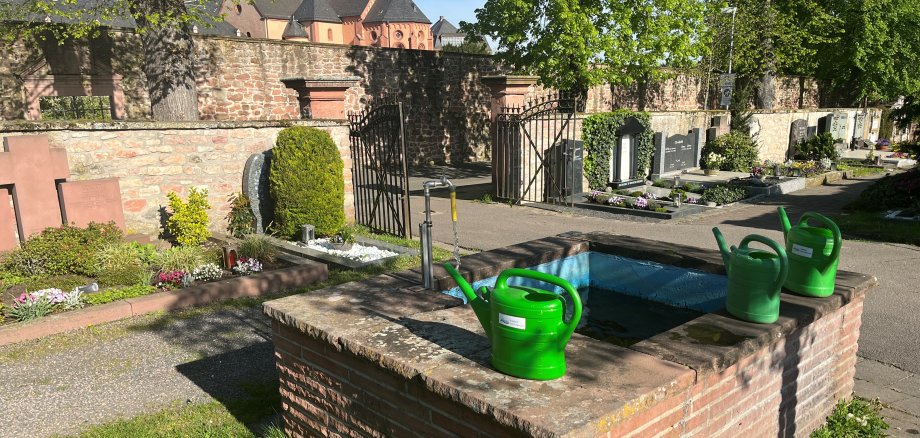 Gießkannen auf dem Friedhof Gießkannen auf dem Friedhof