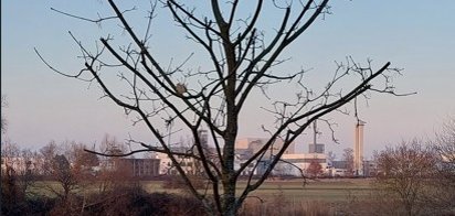 Mainufer Baum 67 A Mainufer Baum 67 A