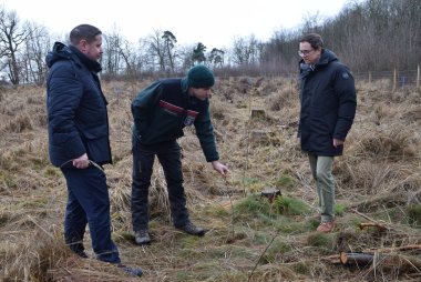 Revierförster Herrmann zeigt Bürgermeister und Stadtrat die frischen Setzlinge Revierförster Herrmann zeigt Bürgermeister und Stadtrat die frischen Setzlinge