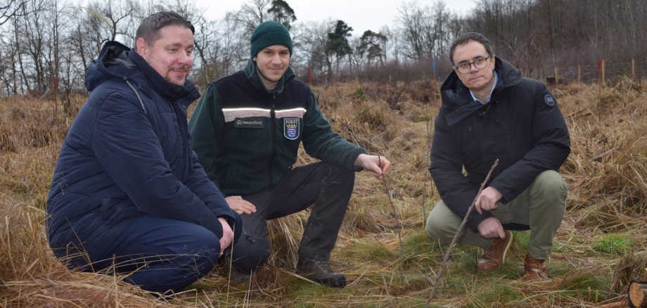 Stadtrat, Revierförster und Bürgermeister begutachten zusammen die Setzlinge Stadtrat, Revierförster und Bürgermeister begutachten zusammen die Setzlinge