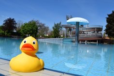 Nichtschwimmerbecken mit Badeente