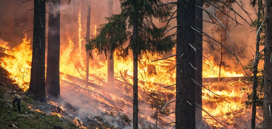 Waldbrand