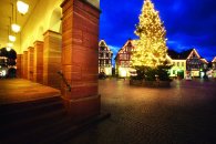 Rathausarkaden mit Weihnachtsbaum 21_Rathausarkaden mit Weihnachtsbaum.jpg