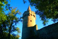 Bolwerkturm am Main 41_Bolwerkturm Mainufer Sommer.jpg