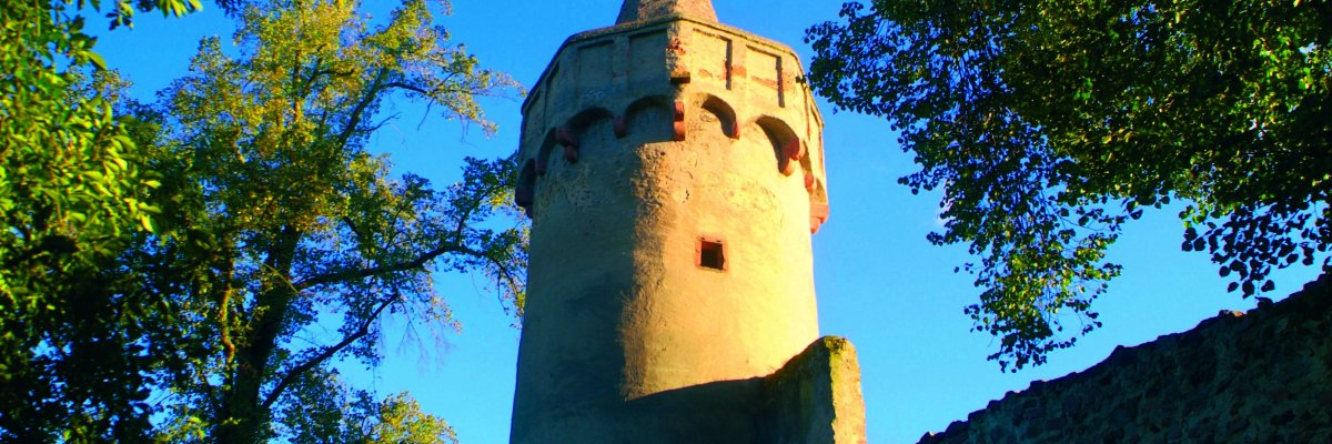 41_Bolwerkturm Mainufer Sommer.jpg