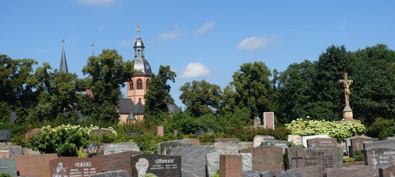Blick zur Basilika Blick zur Basilika