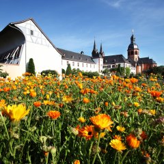 Klostergarten im Sommer im Hintergrund die Einhard-Basilika