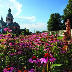 Basilika mit der Blume Fingerhut im Vordergrund