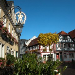 Gasthof zum Riesen