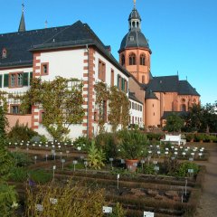 Kräutergarten mit Blick auf die Basilika