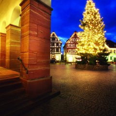 Rathausarkaden mit Weihnachtsbaum