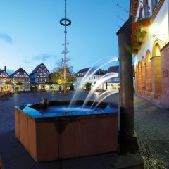 Brunnen mit Rathaus