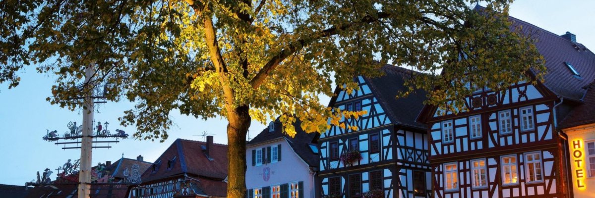 Marktplatz Fachwerkhäuser mit Handwerkerbaum und Linde