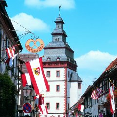 Steinheimer Turm