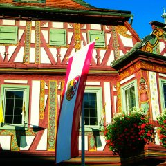 Einharderker mit Sonnenblumen