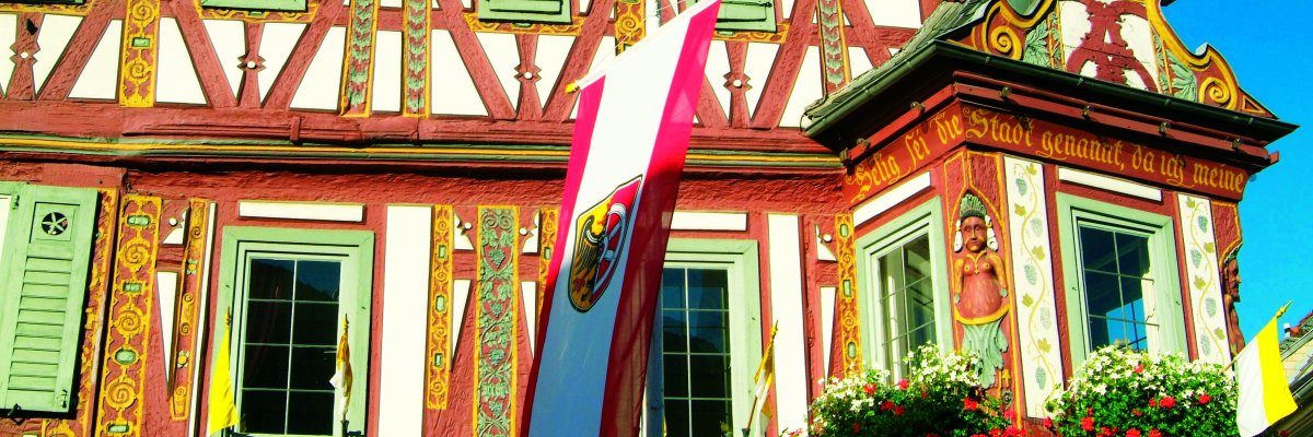 Einharderker mit Sonnenblumen