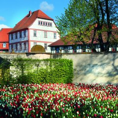 Kloster mit Tulpen im Vordergrun