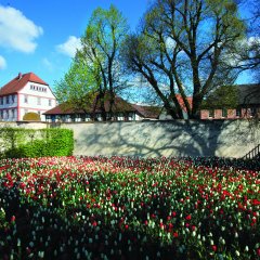 Klostergarten im Frühling mit blühenden Tulpen