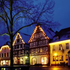 Weihnachtsbaum auf dem Marktplatz