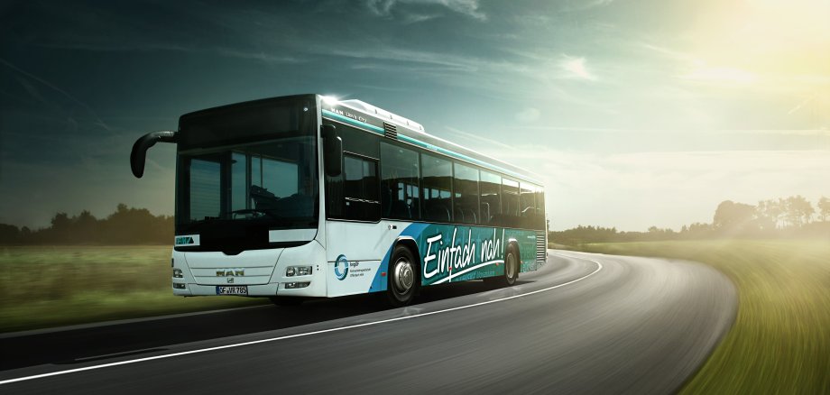 Bus Bus