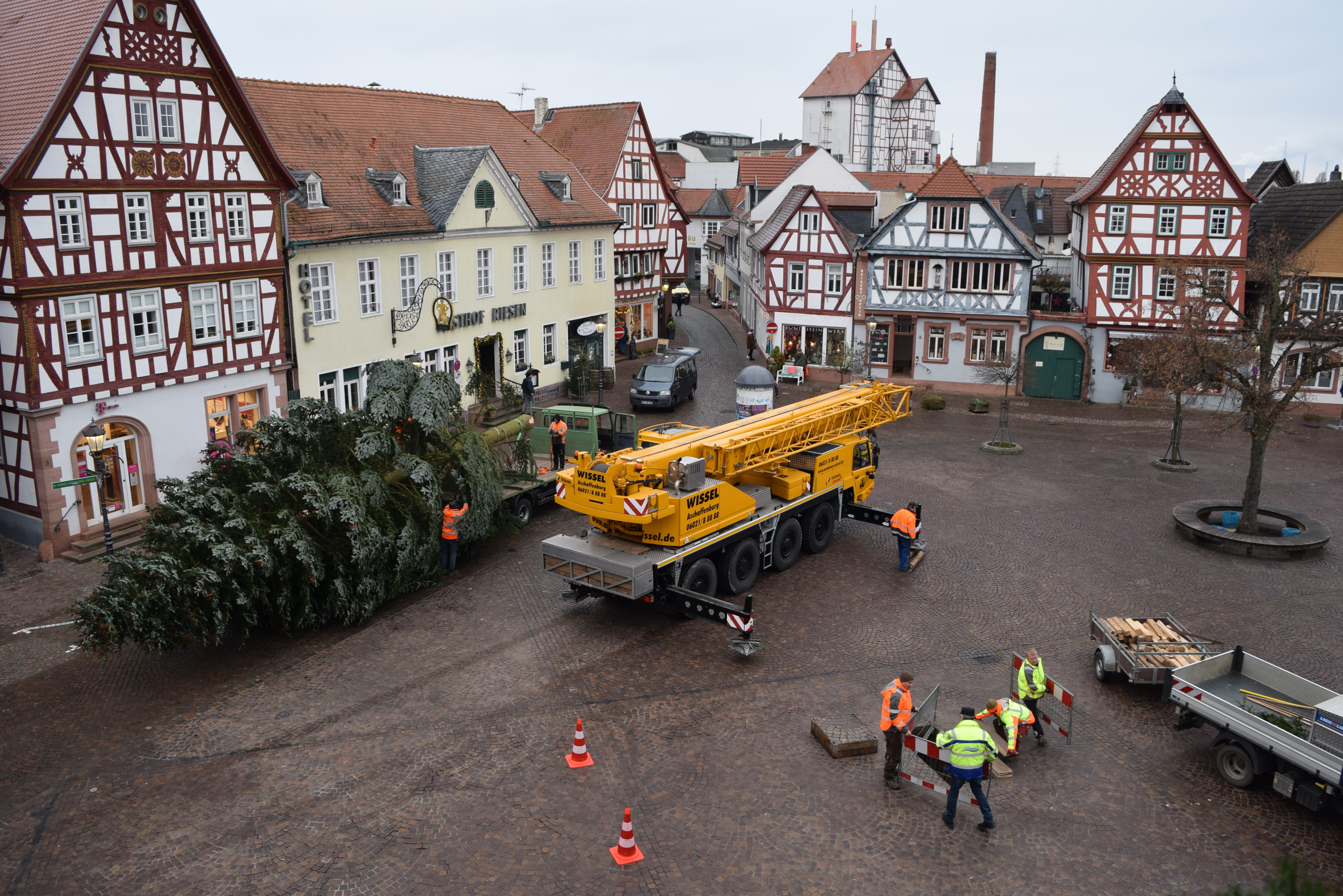 Ankunft der Nordmanntanne
