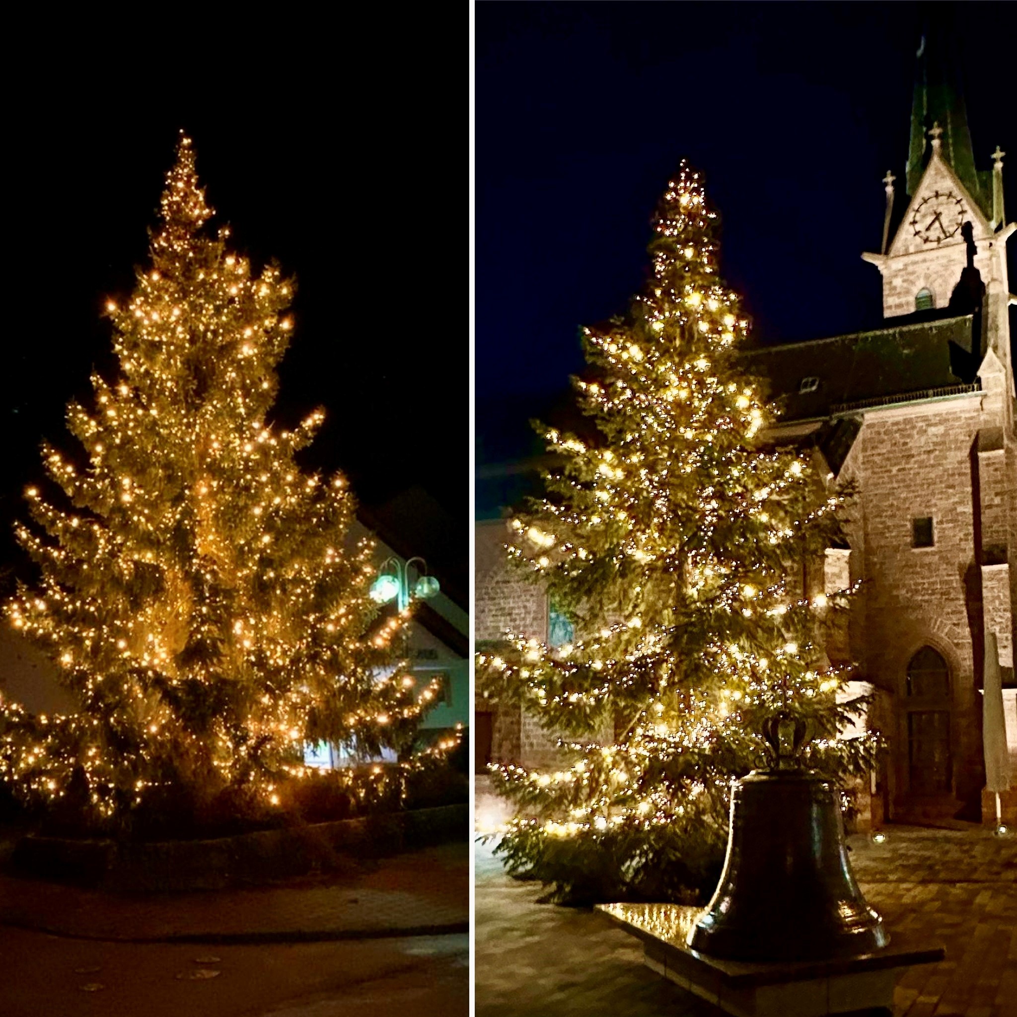 Weihnachtsbäume in Klein-Welzheim und Froschhausen