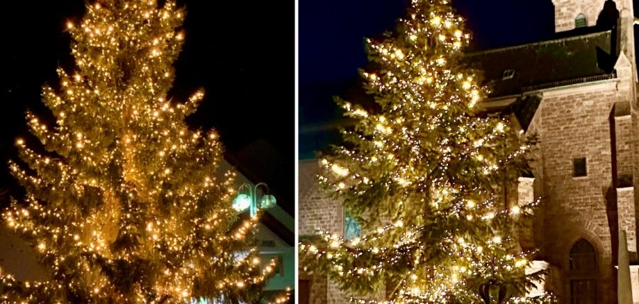 Weihnachtsbäume in Klein-Welzheim und Froschhausen Weihnachtsbäume in Klein-Welzheim und Froschhausen