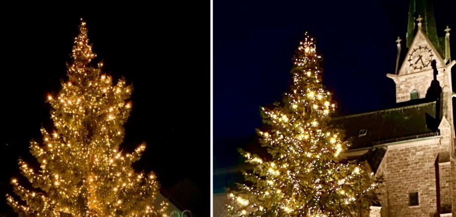 Weihnachtsbäume in Klein-Welzheim und Froschhausen