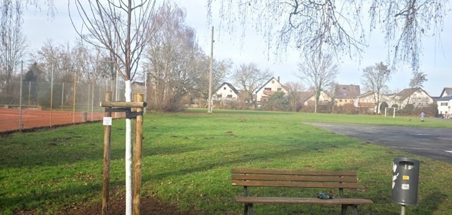 gespendeter Baum von Stefan Harrer