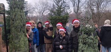 Das Angebot, Bäume selbst zu fällen, wurde sehr gut angenommen Das Angebot, Bäume selbst zu fällen, wurde sehr gut angenommen