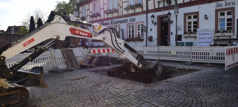 Baustelle Freihofplatz 2, Tulpenbaum (1)