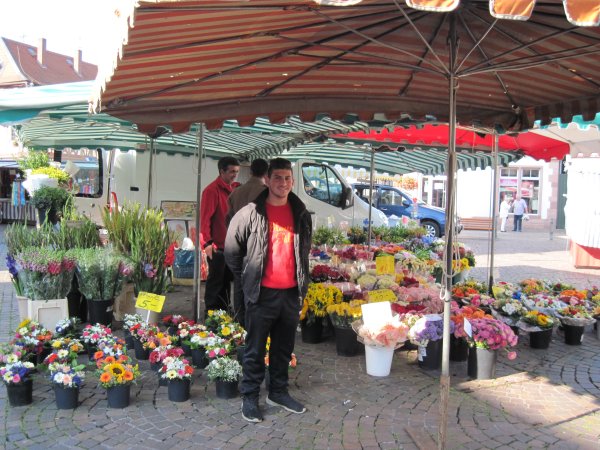 Blumenhändler auf dem Wochenmarkt Blumenhändler auf dem Wochenmarkt
