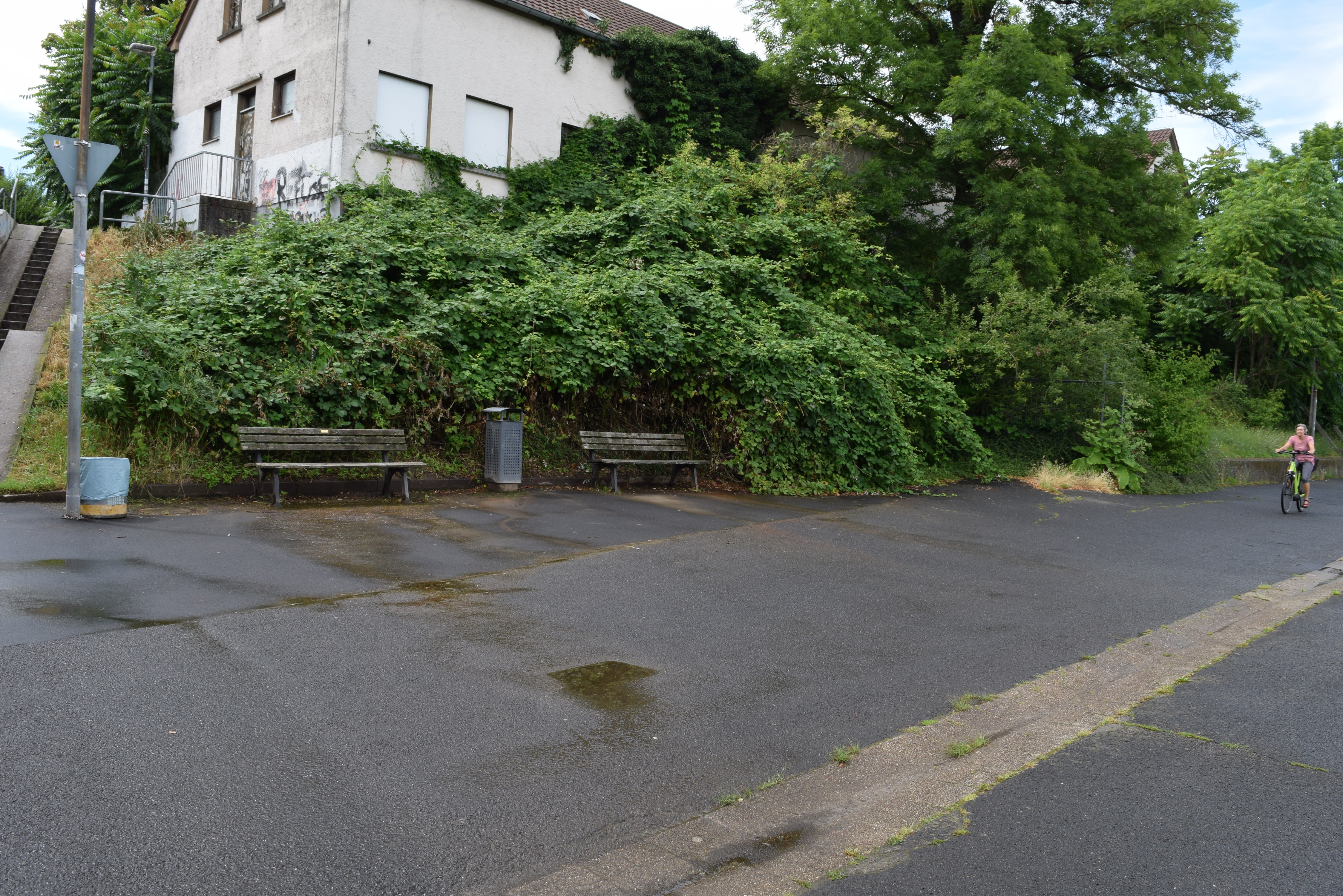 Böschung unterhalb des ehemaligen Stadtwerkegeländes