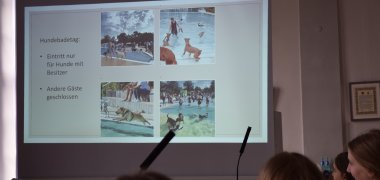 Brainstorming zum Thema Hundebadetag