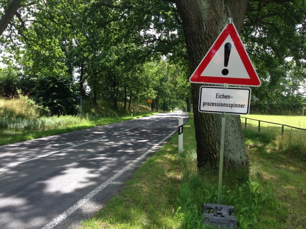 Warnhinweis Eichenprozessionsspinner Warnhinweis Eichenprozessionsspinner
